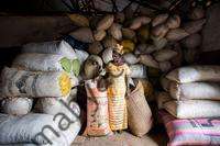 گوترش می گوید آفریقا "منبع امید" برای جهان است